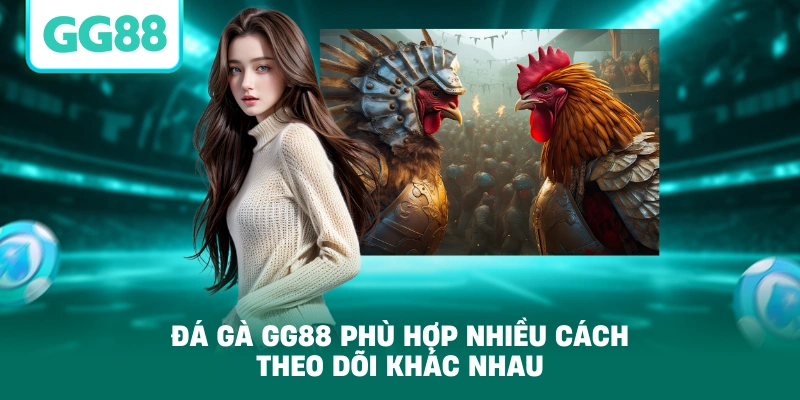 Đá gà GG88 phù hợp nhiều cách theo dõi khác nhau
