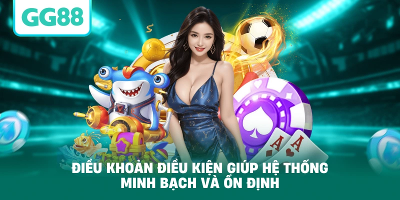 Điều khoản điều kiện giúp hệ thống minh bạch và ổn định